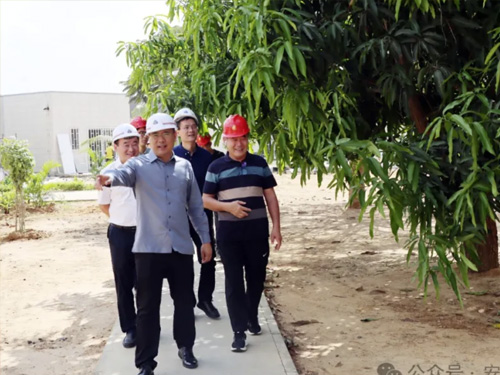 张斌大使考察苏杰国际